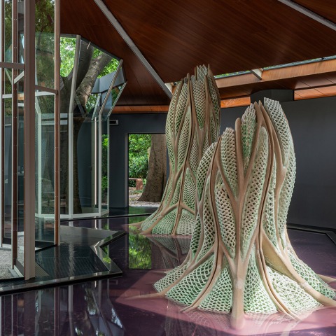 Picoplanktonics at the Canada Pavilion as part of the Biennale di